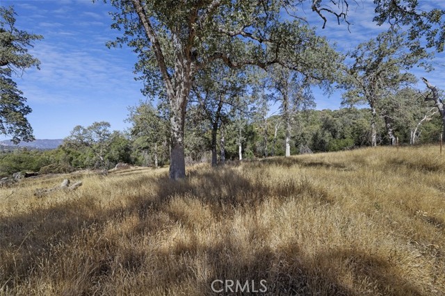 Detail Gallery Image 11 of 16 For 0 39.29 Ac Village Dr, Oakhurst,  CA 93644 - – Beds | – Baths