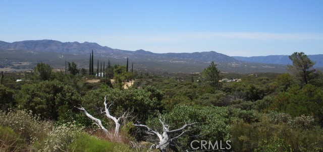 38111 Manzanita Mountain Lane, Anza CA: https://media.crmls.org/medias/e7f88934-726a-44e5-8738-b7808dc08917.jpg