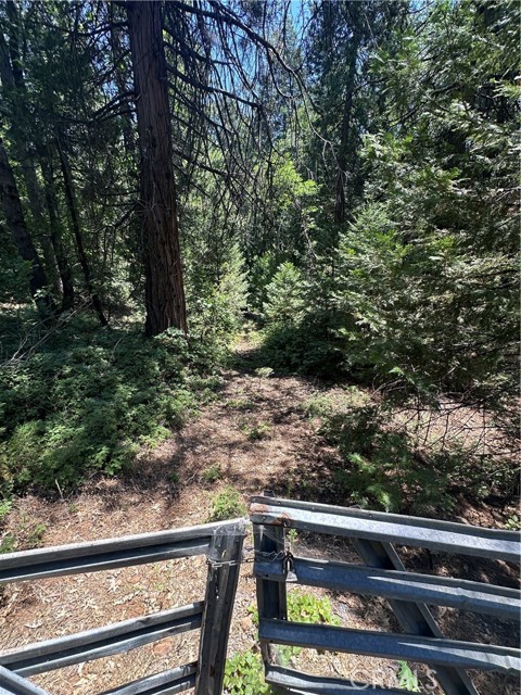 0 Slalom Lane, Pollock Pines CA: https://media.crmls.org/medias/e7fc2719-491a-4679-8c79-c231b7753b15.jpg
