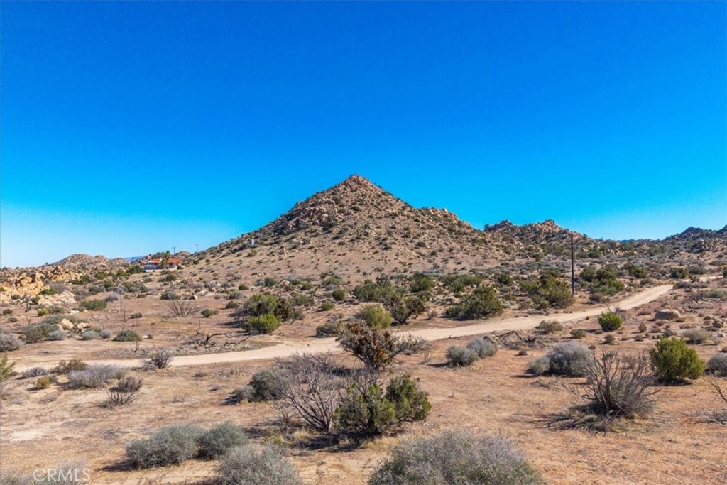 MLS #JT25250010 image #39