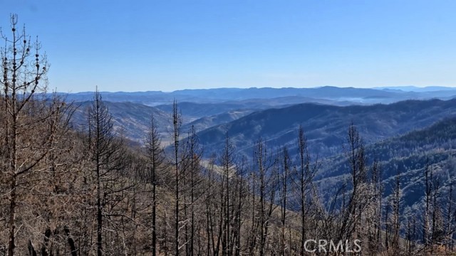 Front Image Thumbnail for CRLC26102854