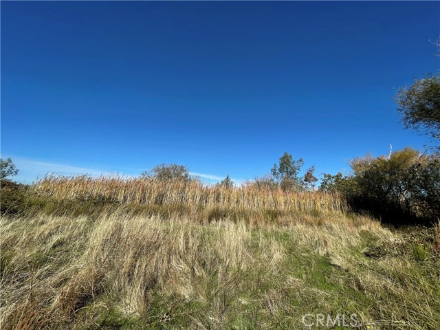 0 Fletcher Road, Oroville, California 95966, ,Land,For Sale,0 Fletcher Road,CROR22068269