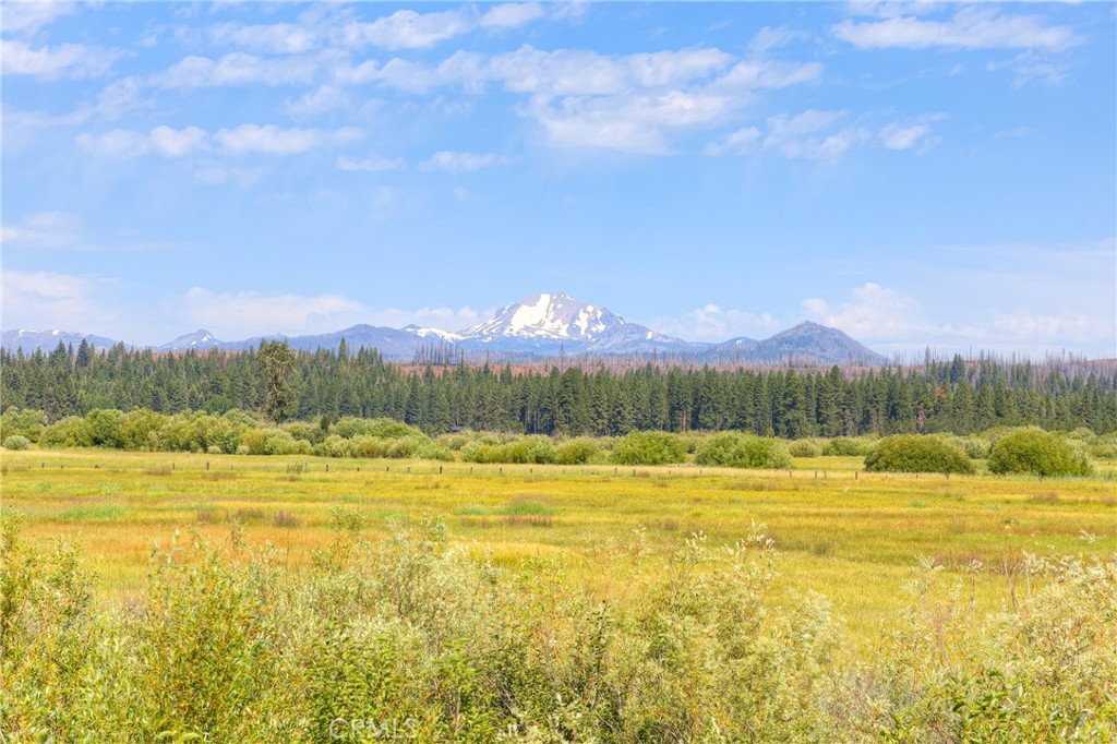https://media.crmls.org/medias/e8065ba9-d570-4d83-8472-4d7bcfe54e50.jpg?preset=X-Large