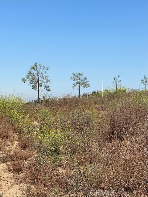 Detail Gallery Image 4 of 17 For 69 Rocky Knoll Rd, Hemet,  CA 92544 - – Beds | – Baths