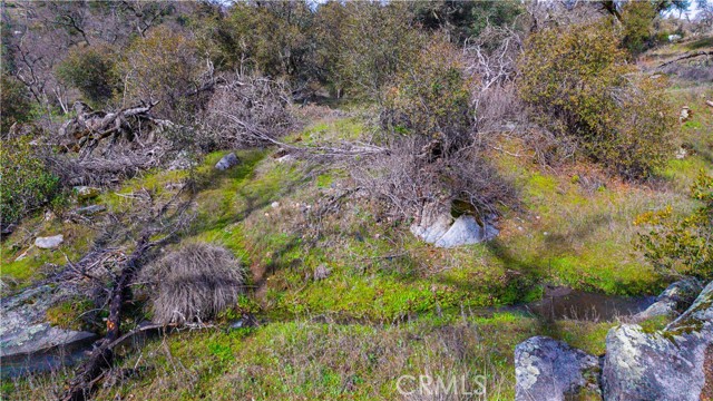 Detail Gallery Image 41 of 43 For 2320 Painted Pony Rd, Somerset,  CA 95684 - – Beds | – Baths