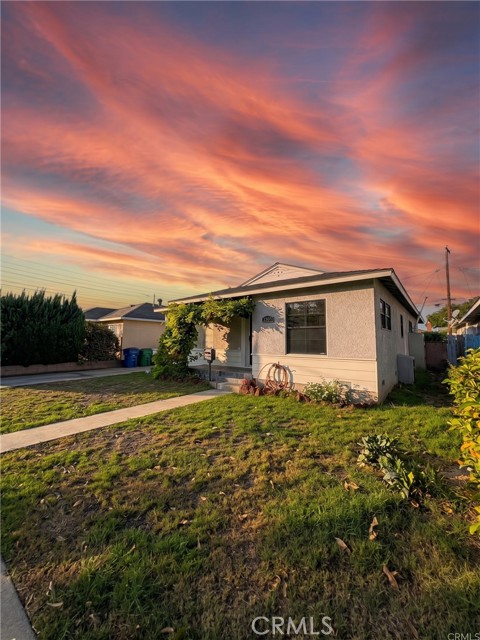 6933 Lime photo 6