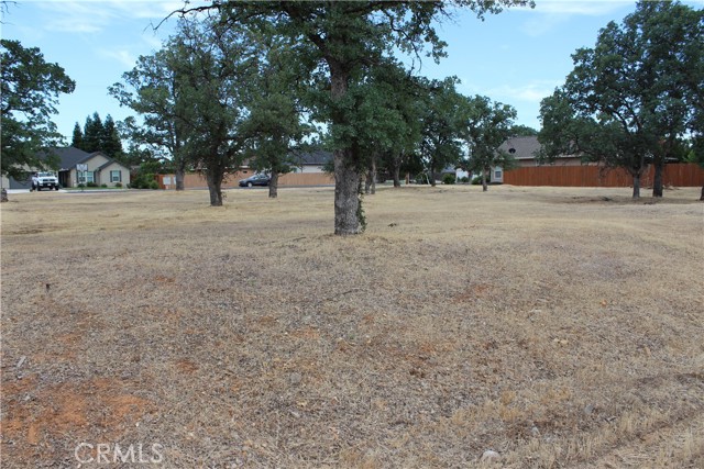 19183 Querido Street, Cottonwood, California 96022, ,Land,For Sale,19183 Querido Street,CRSN23155938