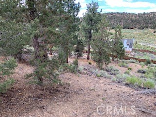 0 Ponderosa, Big Bear City, California 92314, ,Land,For Sale,0 Ponderosa,CROC20150732