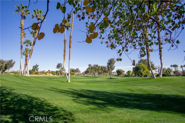 Image 42 for 35104   Mission Hills DR