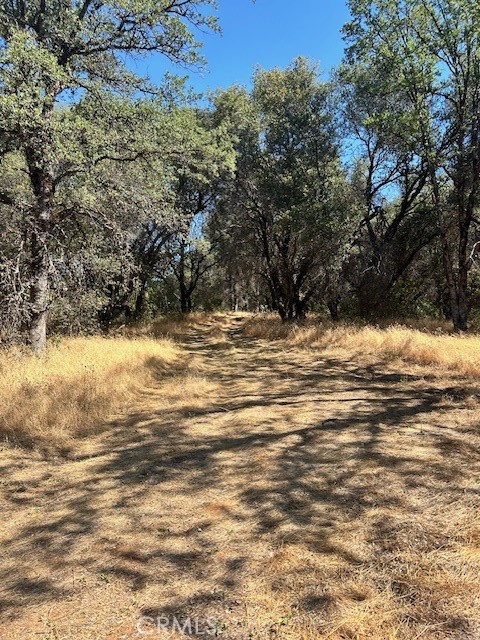 Detail Gallery Image 13 of 21 For 1403 Forbestown, Oroville,  CA 95966 - – Beds | – Baths