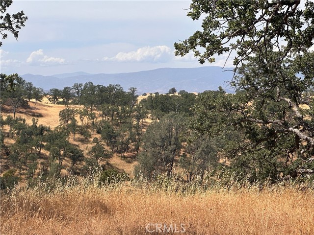 16173 Nugget, Corning, CA, 96021 16173 Nugget, Corning, CA, 96021