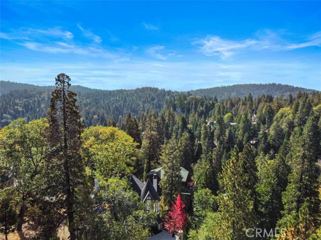 Detail Gallery Image 18 of 44 For 27472 Oakwood Dr, Lake Arrowhead,  CA 92352 - 5 Beds | 4 Baths