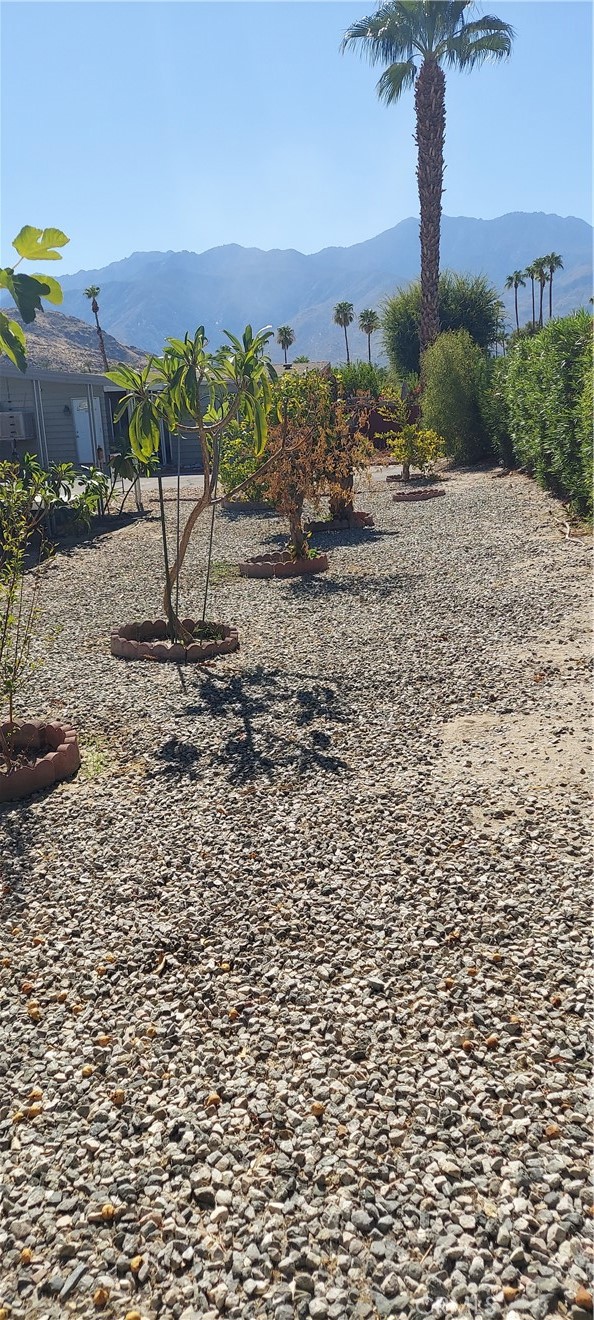 Detail Gallery Image 15 of 15 For 358 Club Circle Dr, Palm Springs,  CA 92264 - 2 Beds | 2 Baths