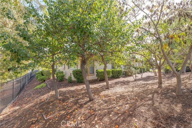 Detail Gallery Image 32 of 50 For 3170 Larkwood Ct, Fallbrook,  CA 92028 - 3 Beds | 3 Baths