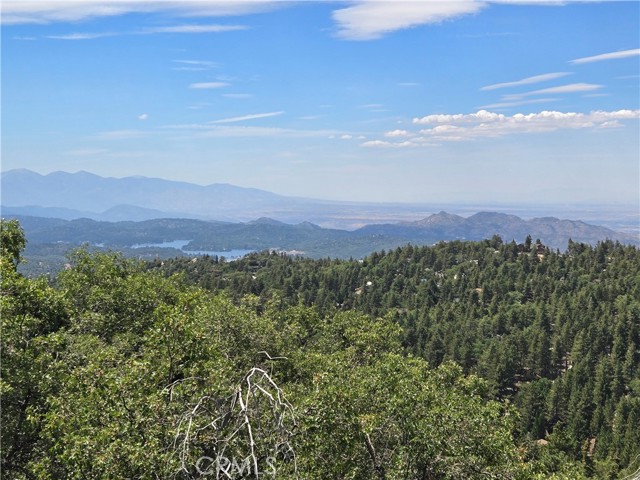 Detail Gallery Image 2 of 38 For 599 Baldy View Dr, Green Valley Lake,  CA 92341 - 2 Beds | 2 Baths