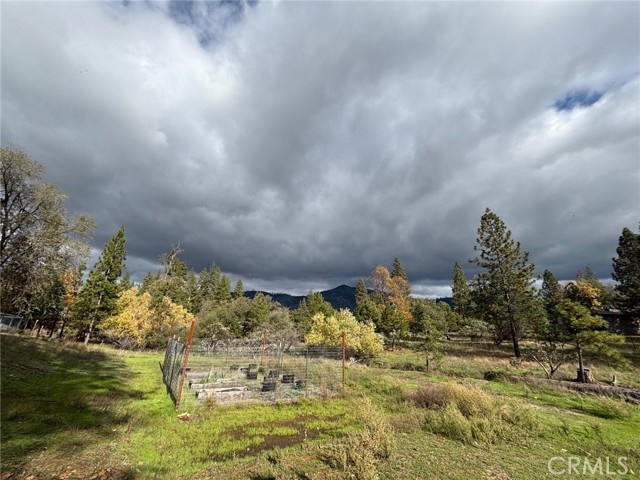 5906 Pine Top Drive, Mariposa CA: https://media.crmls.org/medias/e841eb3c-674f-4c9a-93b2-d335d5f9a8cd.jpg