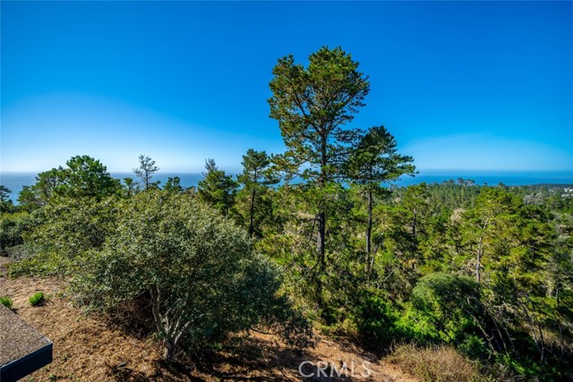 Detail Gallery Image 19 of 74 For 900 Pineridge Dr, Cambria,  CA 93428 - 2 Beds | 2/2 Baths