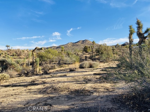 8000 Redden, Yucca Valley, CA, 92284 8000 Redden, Yucca Valley, CA, 92284