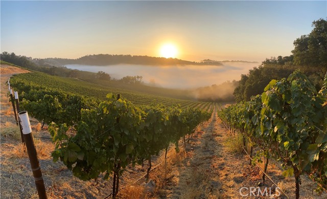 Detail Gallery Image 14 of 36 For 0 Adelaida Road, Paso Robles,  CA 93446 - – Beds | – Baths