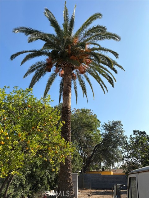 Detail Gallery Image 11 of 12 For 1188 N Hudson, Pasadena,  CA 91104 - 2 Beds | 1 Baths