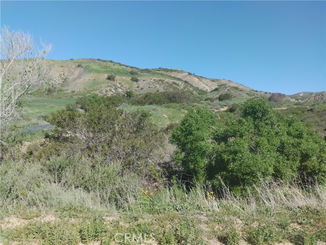95 Chivo, Simi Valley, CA, 93094 95 Chivo, Simi Valley, CA, 93094