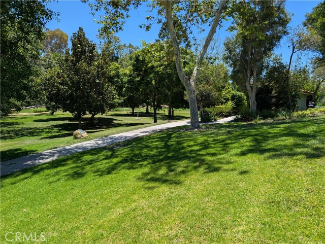 Detail Gallery Image 6 of 32 For 188 Avenida Majorca a,  Laguna Woods,  CA 92637 - 2 Beds | 2 Baths