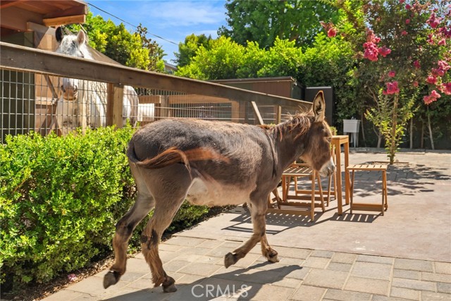 1321 W Morningside Drive, Burbank CA: https://media.crmls.org/medias/e8598ece-679c-4068-8501-eb83e7bf0a1e.jpg