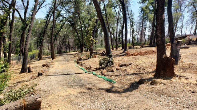 476 Green Oaks Drive, Paradise, California 95969, ,Land,For Sale,476 Green Oaks Drive,CRSN24010118