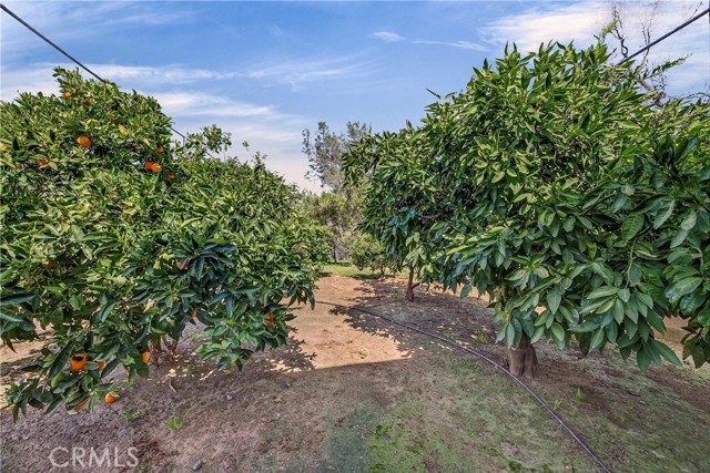 Detail Gallery Image 45 of 55 For 2537 Oro Quincy, Oroville,  CA 95966 - 3 Beds | 1/1 Baths