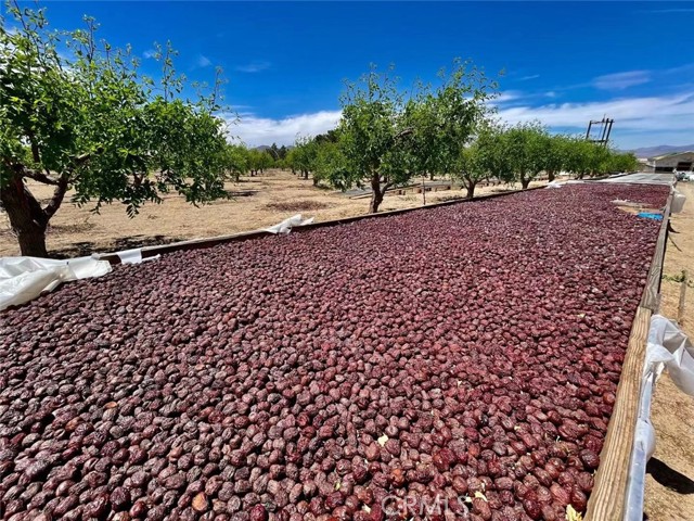 Detail Gallery Image 5 of 67 For 34034 Wilshire Rd, Lucerne Valley,  CA 92356 - 2 Beds | 1 Baths