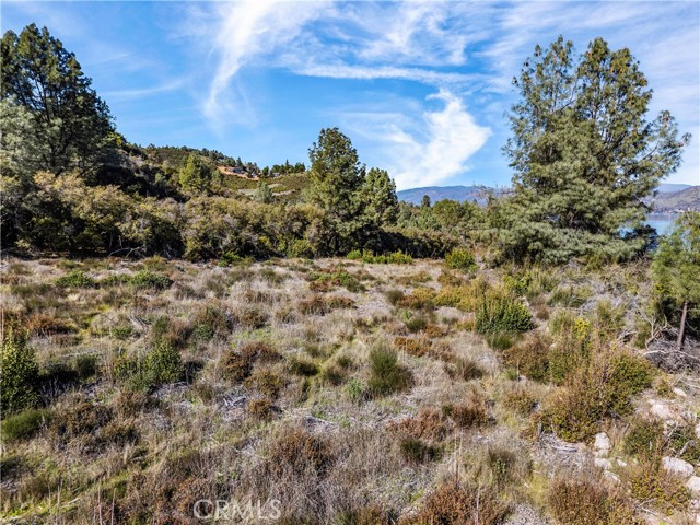 Detail Gallery Image 10 of 29 For 11390 Point Lakeview, Kelseyville,  CA 95451 - – Beds | – Baths