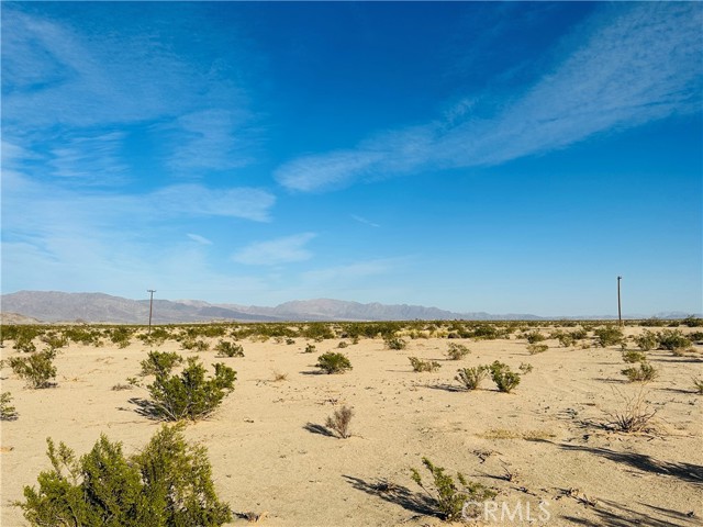 1234 Raymond Drive, Twentynine Palms, California 92277, ,Land,For Sale,1234 Raymond Drive,CRJT23207412