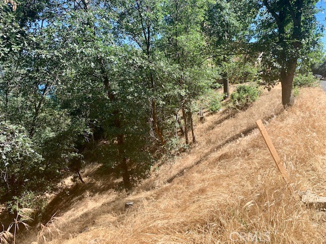 0 West Shore, Lake Arrowhead, CA, 92352 0 West Shore, Lake Arrowhead, CA, 92352