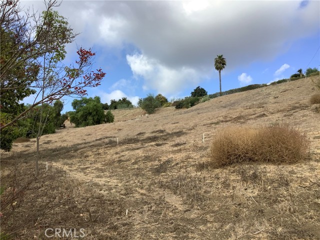 Detail Gallery Image 12 of 47 For 805 West Rd, La Habra Heights,  CA 90631 - 4 Beds | 4/2 Baths