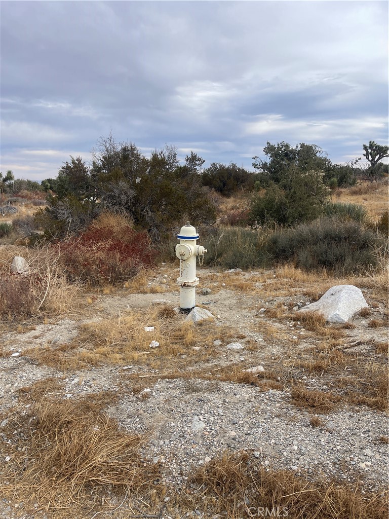 MLS #PW25003493 image #25