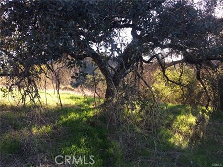 Detail Gallery Image 21 of 27 For 9 La Cruz Drive, Temecula,  CA 92590 - – Beds | – Baths