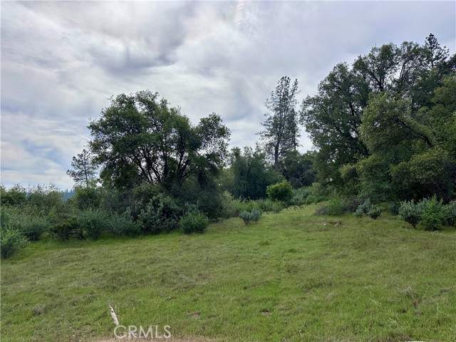 3038 Country Court, Mariposa CA: https://media.crmls.org/medias/e88f2589-1aa5-4c56-b003-c61c5fb8ed50.jpg