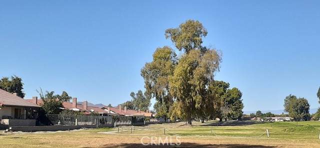 Detail Gallery Image 36 of 37 For 1484 Pepper Tree Dr, Hemet,  CA 92545 - 3 Beds | 2 Baths