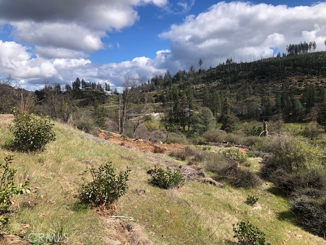 Detail Gallery Image 10 of 16 For 9806 Venturi Dr, Cobb,  CA 95426 - – Beds | – Baths