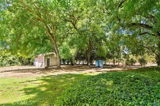 2176 Bidwell Avenue, Chico CA: https://media.crmls.org/medias/e8951f66-4cf5-43f7-b96e-b01bcfa75f0a.jpg