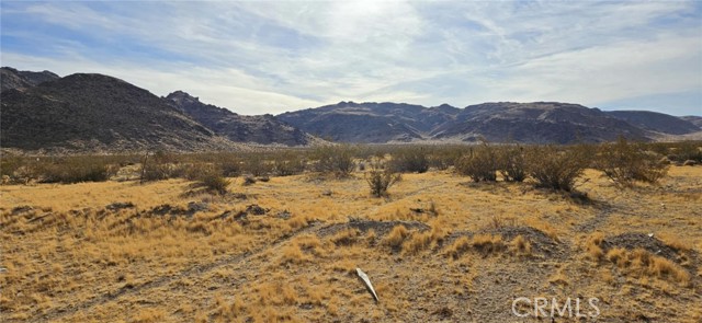 Detail Gallery Image 13 of 25 For 11726 Jasper Ave, Lucerne Valley,  CA 92356 - 1 Beds | 1 Baths