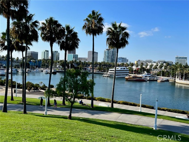 Shoreline Aquatic Park