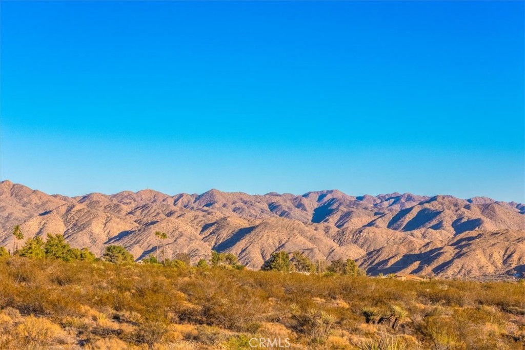 MLS #JT25260931 image #39