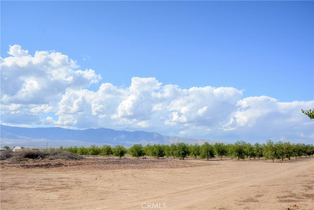 https://media.crmls.org/medias/e8a72e40-0c5e-4461-97d3-8b61a1fca8f2.jpg?preset=X-Large