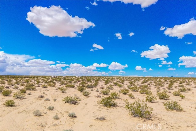 Detail Gallery Image 9 of 26 For 62 Lucille Ln, Joshua Tree,  CA 92252 - – Beds | – Baths