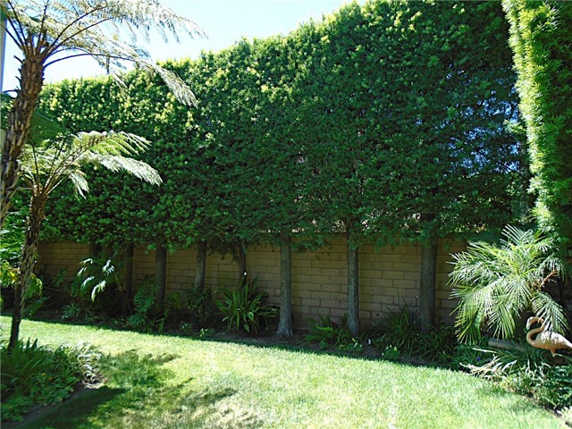 1535 Via Arroyo, La Verne CA: https://media.crmls.org/medias/e8acd67a-7b74-4601-be5a-3b19ca5f9937.jpg