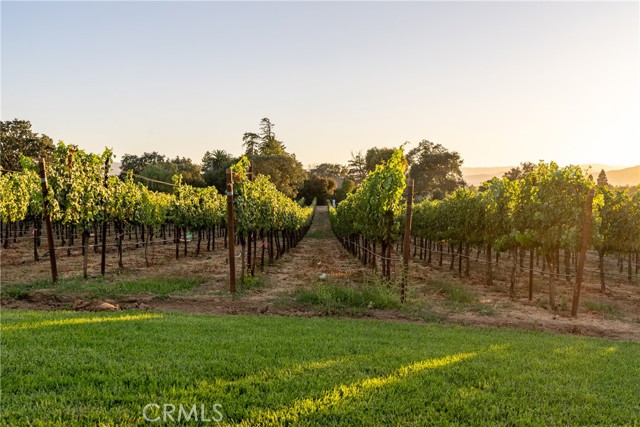 Detail Gallery Image 34 of 49 For 2143 Buena Vista Ave, Gilroy,  CA 95020 - 0 Beds | 1 Baths
