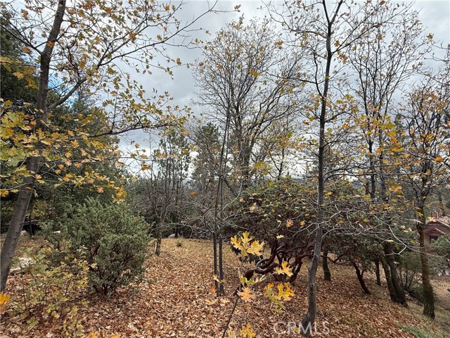 Detail Gallery Image 4 of 7 For 0 Yosemite Dr, Lake Arrowhead,  CA 92352 - – Beds | – Baths