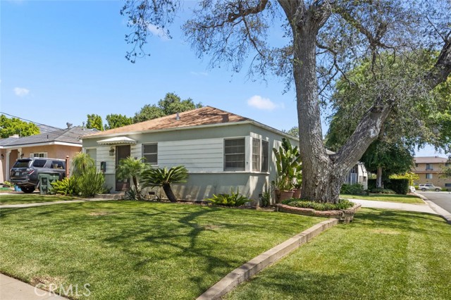 Front Image Thumbnail for CROC26085760