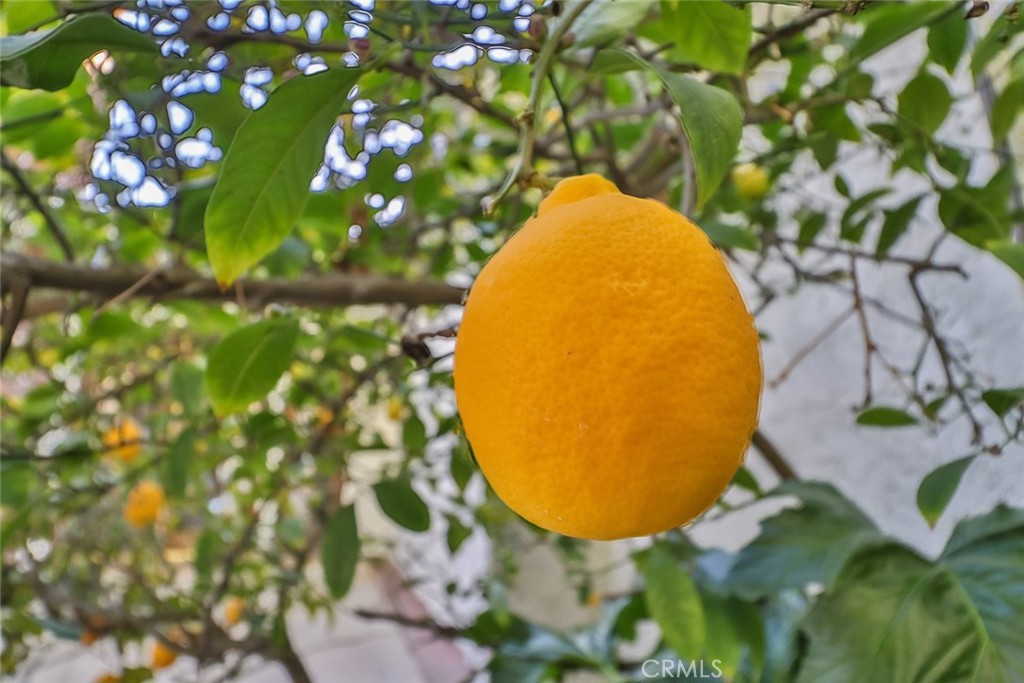 https://media.crmls.org/medias/e8b36944-3be1-4efa-8c6d-5ea661f5a9b6.jpg?preset=X-Large